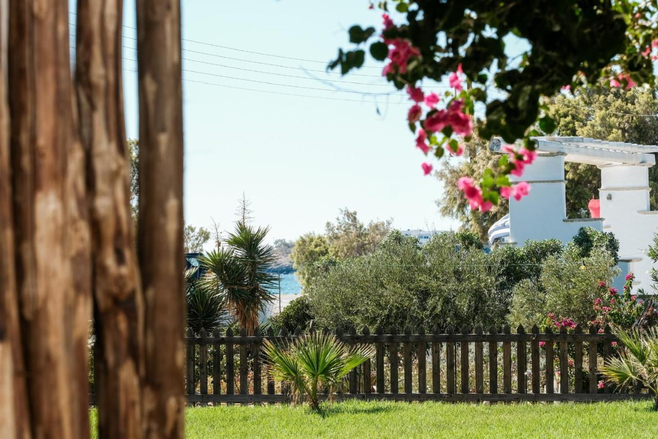 Golden Beach Studios & Suites Wyspa Wyspa Tinos Zewnętrze zdjęcie