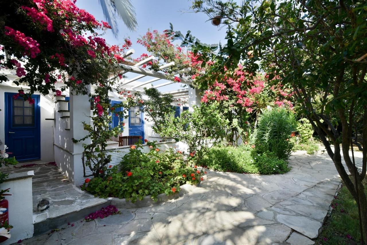 Golden Beach Studios & Suites Wyspa Wyspa Tinos Zewnętrze zdjęcie