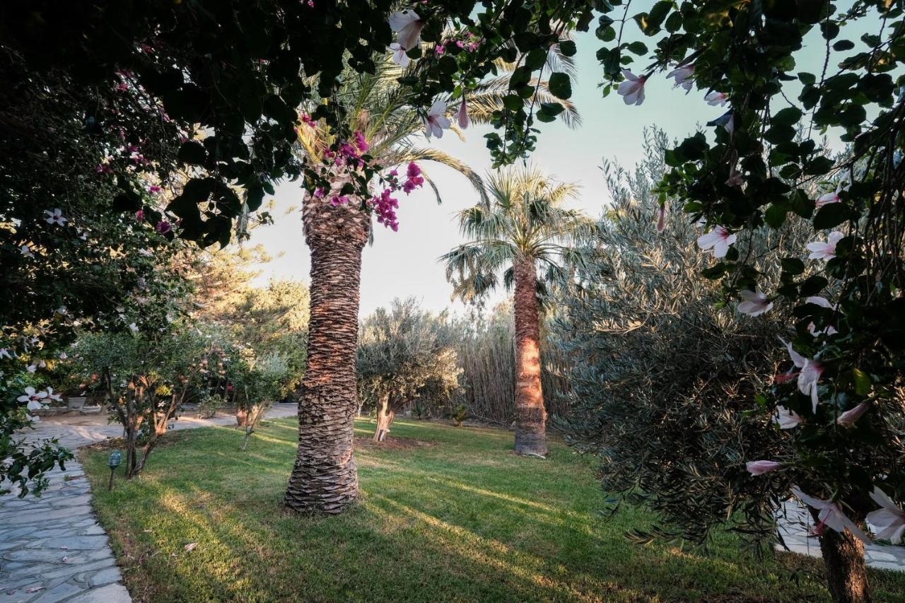 Golden Beach Studios & Suites Wyspa Wyspa Tinos Zewnętrze zdjęcie