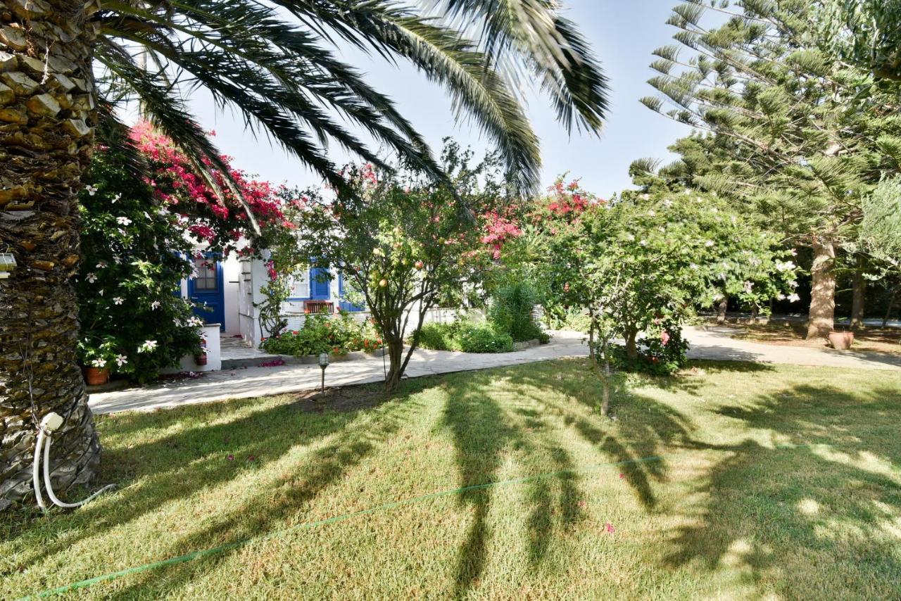 Golden Beach Studios & Suites Wyspa Wyspa Tinos Zewnętrze zdjęcie